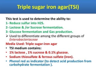 IDENTIFICATION OF BACTERIA.pdf