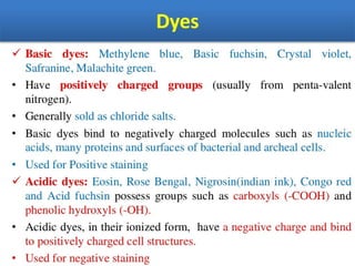IDENTIFICATION OF BACTERIA.pdf