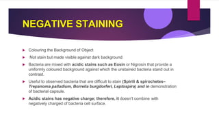 NEGATIVE STAINING
 Colouring the Background of Object
 Not stain but made visible against dark background
 Bacteria are mixed with acidic stains such as Eosin or Nigrosin that provide a
uniformly coloured background against which the unstained bacteria stand out in
contrast.
 Useful to observed bacteria that are difficult to stain (Spirili & spirochetes–
Trepanoma palladium, Borrelia burgdorferi, Leptospira) and in demonstration
of bacterial capsule.
 Acidic stains has negative charge; therefore, it doesn’t combine with
negatively charged of bacteria cell surface.
 