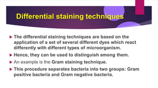 Differential staining techniques
 The differential staining techniques are based on the
application of a set of several different dyes which react
differently with different types of microorganism.
 Hence, they can be used to distinguish among them.
 An example is the Gram staining technique.
 This procedure separates bacteria into two groups: Gram
positive bacteria and Gram negative bacteria.
 