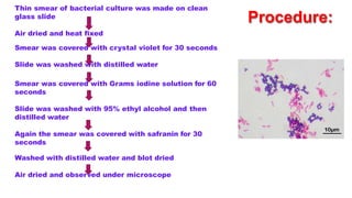 Procedure:
Thin smear of bacterial culture was made on clean
glass slide
Air dried and heat fixed
Smear was covered with crystal violet for 30 seconds
Slide was washed with distilled water
Smear was covered with Grams iodine solution for 60
seconds
Slide was washed with 95% ethyl alcohol and then
distilled water
Again the smear was covered with safranin for 30
seconds
Washed with distilled water and blot dried
Air dried and observed under microscope
 