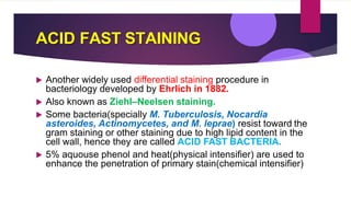 ACID FAST STAINING
 Another widely used differential staining procedure in
bacteriology developed by Ehrlich in 1882.
 Also known as Ziehl–Neelsen staining.
 Some bacteria(specially M. Tuberculosis, Nocardia
asteroides, Actinomycetes, and M. leprae) resist toward the
gram staining or other staining due to high lipid content in the
cell wall, hence they are called ACID FAST BACTERIA.
 5% aquouse phenol and heat(physical intensifier) are used to
enhance the penetration of primary stain(chemical intensifier)
 