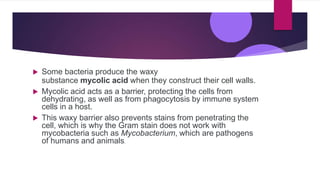  Some bacteria produce the waxy
substance mycolic acid when they construct their cell walls.
 Mycolic acid acts as a barrier, protecting the cells from
dehydrating, as well as from phagocytosis by immune system
cells in a host.
 This waxy barrier also prevents stains from penetrating the
cell, which is why the Gram stain does not work with
mycobacteria such as Mycobacterium, which are pathogens
of humans and animals.
 