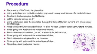 Procedure:
 Place a drop of NaCl onto the glass slide.
 Using a sterilized and cooled inoculation loop, obtain a very small sample of a bacterial colony.
 Gently mix the bacteria into the NaCl drop.
 Let the bacterial sample air dry
 Using slide holder, pass the dried slide through the flame of Bunsen burner 3 or 4 times,smear
side facing up.
 Flood slides with Kinyoun carbolfuchsin (or Ziehl-Neelsen Carbol Fuchsin (ZNCF) for 5 minutes.
 Rinse gently with water until the water flows off clear.
 Flood slides with acid-alcohol (3% HCl in ethanol) for 3~5 seconds.
 Rinse gently with water until the water flows off clear.
 Flood slides with methylene blue for 1 minutes.
 Rinse gently with water until the water flows off clear.
 Allow slides to air dry before viewing
 