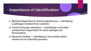 Importance of identification
 Medical diagnostics & clinical significance — identifying
a pathogen isolated from a patient.
 Food & brewage industries — identifying a microbial
contaminant responsible for food spoilage and
fermentation.
 Research setting — identifying a new isolate which
carries out an important process.
 