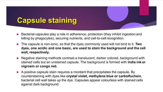 Capsule staining
 Bacterial capsules play a role in adherence, protection (they inhibit ingestion and
killing by phagocytes), securing nutrients, and cell-to-cell recognition.
 The capsule is non-ionic, so that the dyes commonly used will not bind to it. Two
dyes, one acidic and one basic, are used to stain the background and the cell
wall, respectively.
 Negative staining methods contrast a translucent, darker colored, background with
stained cells but an unstained capsule. The background is formed with india ink or
nigrosin or congo red.
 A positive capsule stain requires a mordant that precipitates the capsule. By
counterstaining with dyes like crystal violet, methylene blue or carbolfuchsin,
bacterial cell wall takes up the dye. Capsules appear colourless with stained cells
against dark background.
 