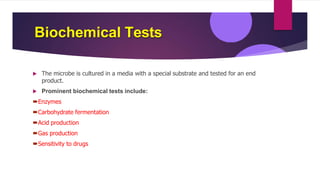 Biochemical Tests
 The microbe is cultured in a media with a special substrate and tested for an end
product.
 Prominent biochemical tests include:
Enzymes
Carbohydrate fermentation
Acid production
Gas production
Sensitivity to drugs
 
