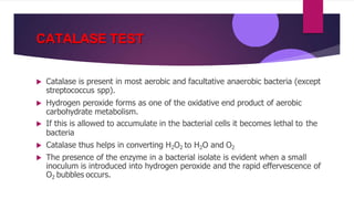 CATALASE TEST
 Catalase is present in most aerobic and facultative anaerobic bacteria (except
streptococcus spp).
 Hydrogen peroxide forms as one of the oxidative end product of aerobic
carbohydrate metabolism.
 If this is allowed to accumulate in the bacterial cells it becomes lethal to the
bacteria
 Catalase thus helps in converting H2O2 to H2O and O2
 The presence of the enzyme in a bacterial isolate is evident when a small
inoculum is introduced into hydrogen peroxide and the rapid effervescence of
O2 bubbles occurs.
 