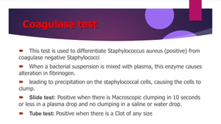 Coagulase test
 This test is used to differentiate Staphylococcus aureus (positive) from
coagulase negative Staphylococci
 When a bacterial suspension is mixed with plasma, this enzyme causes
alteration in fibrinogen.
 leading to precipitation on the staphylococcal cells, causing the cells to
clump.
 Slide test: Positive when there is Macroscopic clumping in 10 seconds
or less in a plasma drop and no clumping in a saline or water drop.
 Tube test: Positive when there is a Clot of any size
 
