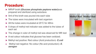 Procedure:
 MRVP broth (Glucose phosphate peptone water)was
prepared and sterilized using autoclave
 5ml of the broth was poured into each tube
 The tubes were inoculated with test organism
 All the tubes were incubated at 25°C for 48hrs
 5 drops of methyl red indicator was added to the tubes of
each set
 The change in color of methyl red was observed for MR test
 A red colour indicates that glucose has been oxidized.
 Methyl red positive: Red colour (Acid production)- E.coli
 Methyl red negative: No colour (No acid production)- E.
aerogen
 