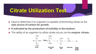 Citrate Utilization Test
 Used to determine if an organism is capable of fermenting citrate as the
sole source of carbon for growth.
 It indicated by the production of turbidity in the medium.
 The ability of an organism to utilize citrate occurs via the enzyme citrase.
 