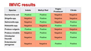 IMViC results
Species Indole Methyl Red
Voges-
Proskauer
Citrate
Escherichia coli Positive Positive Negative Negative
Shigella spp. Negative Positive Negative Negative
Salmonella spp. Negative Positive Negative Positive
Klebsiella spp. Negative Negative Positive Positive
Proteus vulgaris Positive Positive Negative Negative
Proteus mirabils Negative Positive Negative Positive
Citrobacter
freundii
Negative Positive Negative Positive
Enterobacter
aerogenes
Negative Negative Positive Positive
 