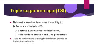 Triple sugar iron agar(TSI)
 This test is used to determine the ability to:
1- Reduce sulfur into H2S.
2 Lactose & /or Sucrose fermentation.
3 Glucose fermentation and Gas production.
 Used to differentiate among the different groups of
Enterobacteriaceae
 