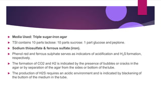  Media Used: Triple sugar-iron agar
 TSI contains 10 parts lactose: 10 parts sucrose: 1 part glucose and peptone.
 Sodium thiosulfate & ferrous sulfate (iron).
 Phenol red and ferrous sulphate serves as indicators of acidification and H2S formation,
respectively.
 The formation of CO2 and H2 is indicated by the presence of bubbles or cracks in the
agar or by separation of the agar from the sides or bottom of thetube.
 The production of H2S requires an acidic environment and is indicated by blackening of
the buttom of the medium in the tube.
 