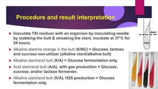 Procedure and result interpretation
 Inoculate TSI medium with an organism by inoculating needle
by stabbing the butt & streaking the slant, incubate at 37°C for
24 hours.
 Alkaline slant/no change in the butt (K/NC) = Glucose, lactose
and sucrose non-utilizer (alkaline slant/alkaline butt)
 Alkaline slant/acid butt (K/A) = Glucose fermentation only.
 Acid slant/acid butt (A/A), with gas production = Glucose,
sucrose, and/or lactose fermenter.
 Alkaline slant/acid butt (K/A), H2S production = Glucose
fermentation only.
 