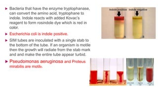  Bacteria that have the enzyme tryptophanase,
can convert the amino acid, tryptophane to
indole. Indole reacts with added Kovac’s
reagent to form rosindole dye which is red in
color.
 Escherichia coli is indole positive.
 SIM tubes are inoculated with a single stab to
the bottom of the tube. If an organism is motile
then the growth will radiate from the stab mark
and and make the entire tube appear turbid.
 Pseudomonas aeruginosa and Proteus
mirabilis are motile.
 