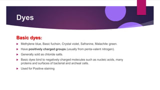 Dyes
Basic dyes:
 Methylene blue, Basic fuchsin, Crystal violet, Safranine, Malachite green.
 Have positively charged groups (usually from penta-valent nitrogen).
 Generally sold as chloride salts.
 Basic dyes bind to negatively charged molecules such as nucleic acids, many
proteins and surfaces of bacterial and archeal cells.
 Used for Positive staining
 