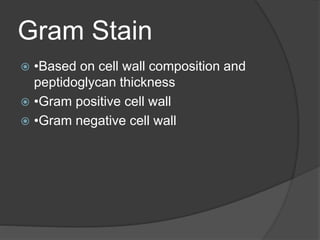 Gram Stain
 •Based on cell wall composition and
peptidoglycan thickness
 •Gram positive cell wall
 •Gram negative cell wall
 