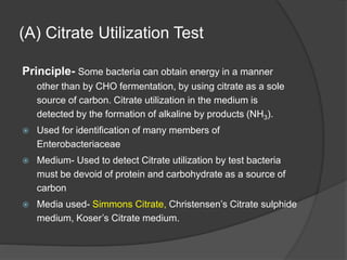 (A) Citrate Utilization Test
Principle- Some bacteria can obtain energy in a manner
other than by CHO fermentation, by using citrate as a sole
source of carbon. Citrate utilization in the medium is
detected by the formation of alkaline by products (NH3).
 Used for identification of many members of
Enterobacteriaceae
 Medium- Used to detect Citrate utilization by test bacteria
must be devoid of protein and carbohydrate as a source of
carbon
 Media used- Simmons Citrate, Christensen’s Citrate sulphide
medium, Koser’s Citrate medium.
 