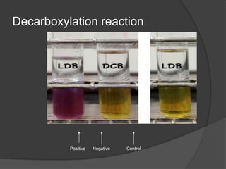 Decarboxylation reaction
Control
Positive Negative
 