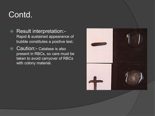 Contd.
 Result interpretation:-
Rapid & sustained appearance of
bubble constitutes a positive test.
 Caution:- Catalase is also
present in RBCs, so care must be
taken to avoid carryover of RBCs
with colony material.
 