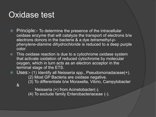 Oxidase test
 Principle:- To determine the presence of the intracellular
oxidase enzyme that will catalyze the transport of electrons b/w
electrons donors in the bacteria & a dye tetramethyl-p-
phenylene-diamine dihydrochloride is reduced to a deep purple
color.
 This oxidase reaction is due to a cytochrome oxidase system
that activate oxidation of reduced cytochrome by molecular
oxygen, which in turn acts as an electron acceptor in the
terminal stage of the ETS.
 Uses:- (1) Identify all Neisseria spp., Pseudomonadaceae(+).
(2) Most GP Bacteria are oxidase negative.
(3) To differentiate b/w Moraxella, Vibrio, Campylobacter
&
Neisseria (+) from Acinetobacter(-).
(4) To exclude family Enterobacteriaceae (-).
 
