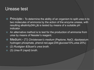 Urease test
 Principle:- To determine the ability of an organism to split urea in to
two molecules of ammonia by the action of the enzyme urease, with
resulting alkalinity(NH3)& is tested by means of a suitable pH
indicator .
 An alternative method is to test for the production of ammonia from
urea by means of Nessler’s reagent.
 Medium:- (1) Christensen’s medium (Peptone, NaCl, dipotassium
hydrogen phosphate, phenol red,agar,DW,glucose10%,urea 20%)
 (2) Rustigian &Stuart’s urea broth.
 (3) Urea R (rapid) broth.
 
