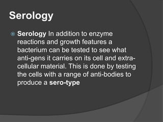 Serology
 Serology In addition to enzyme
reactions and growth features a
bacterium can be tested to see what
anti-gens it carries on its cell and extra-
cellular material. This is done by testing
the cells with a range of anti-bodies to
produce a sero-type
 