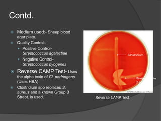 Contd.
 Medium used:- Sheep blood
agar plate.
 Quality Control:-
 Positive Control-
Streptococcus agalactiae
 Negative Control-
Streptococcus pyogenes
 Reverse CAMP Test- Uses
the alpha toxin of Cl. perfringens
(Uses HBA)
 Clostridium spp replaces S.
aureus and a known Group B
Strept. is used.
Clostridium
Reverse Arrow
(+)
Reverse CAMP Test
 
