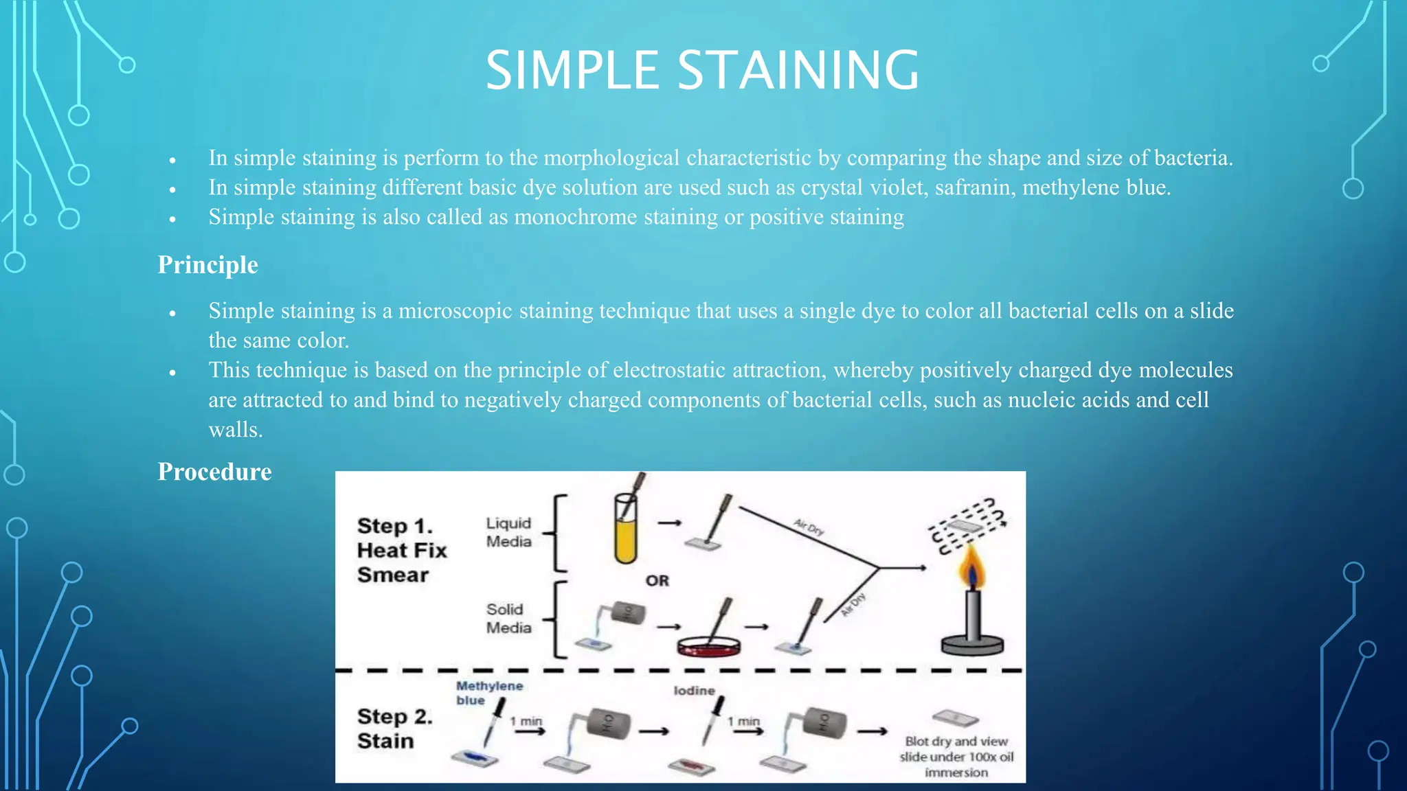 Identification of bacteria in microbiology | PPTX | Chemistry | Science