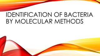 IDENTIFICATION OF BACTERIA.by Molecular methods | PPTX