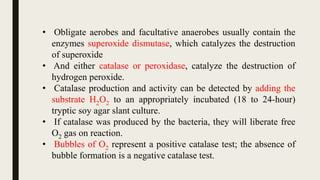 Identification of bacteria by biochemical tests | PPTX