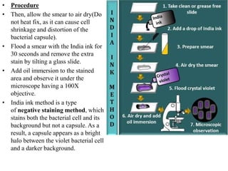Identification of bacteria by staining methods | PPTX