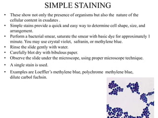 Identification of bacteria by staining methods | PPTX