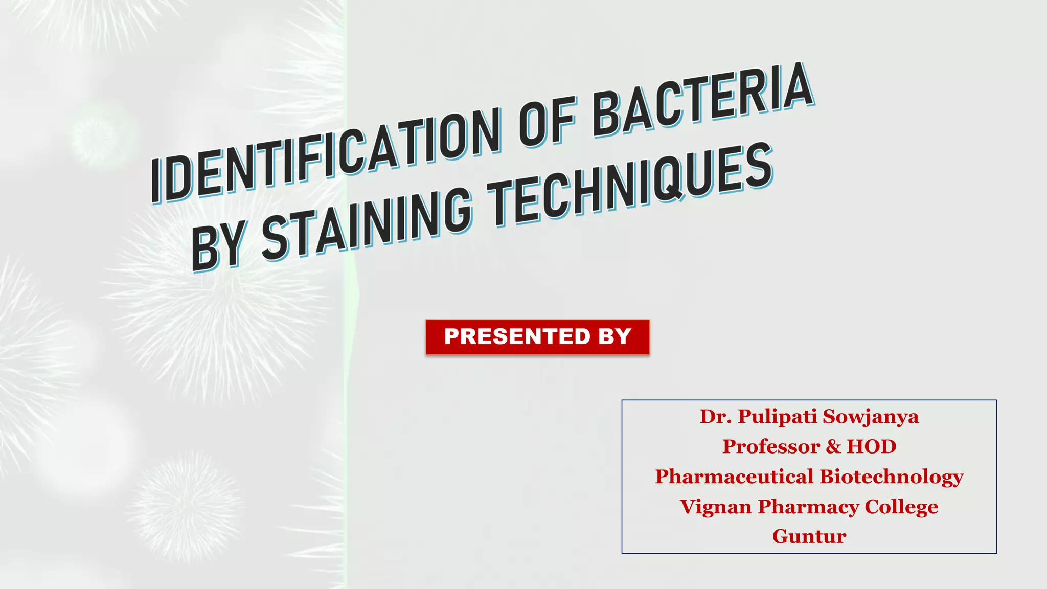 Identification of bacteria by staining techniques | PDF