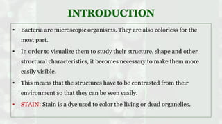 Identification of bacteria by staining techniques | PDF