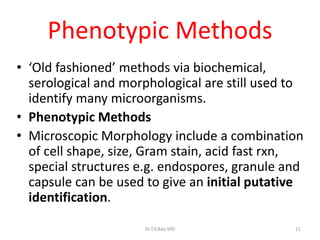 11
Phenotypic Methods
• ‘Old fashioned’ methods via biochemical,
serological and morphological are still used to
identify many microorganisms.
• Phenotypic Methods
• Microscopic Morphology include a combination
of cell shape, size, Gram stain, acid fast rxn,
special structures e.g. endospores, granule and
capsule can be used to give an initial putative
identification.
Dr.T.V.Rao MD
 