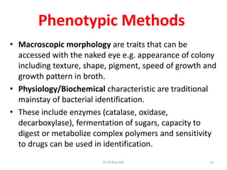 12
Phenotypic Methods
• Macroscopic morphology are traits that can be
accessed with the naked eye e.g. appearance of colony
including texture, shape, pigment, speed of growth and
growth pattern in broth.
• Physiology/Biochemical characteristic are traditional
mainstay of bacterial identification.
• These include enzymes (catalase, oxidase,
decarboxylase), fermentation of sugars, capacity to
digest or metabolize complex polymers and sensitivity
to drugs can be used in identification.
Dr.T.V.Rao MD
 