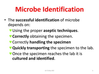 3
Microbe Identification
• The successful identification of microbe
depends on:
♥Using the proper aseptic techniques.
♥Correctly obtaining the specimen.
♥Correctly handling the specimen
♥Quickly transporting the specimen to the lab.
♥Once the specimen reaches the lab it is
cultured and identified.
Dr.T.V.Rao MD
 
