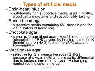 • Types of artificial media
–Brain-heart infusion
• nutritionally rich supportive media used in broths,
blood culture systems and susceptibility testing
–Sheep blood agar
• supportive media containing 5% sheep blood for
visualization of hemolysis
–Chocolate agar
• same as sheep blood agar except blood has been
“chocolatized” RBCs lysed by heating; releases X
(hemin) and V (NAD) factors for Neisseria and
Haemophilus
–MacConkey agar
• selective for Gram-negative rods (GNRs)
because of crystal violet and bile salts; differential
due to lactose, fermenters lower pH changing
neutral red indicator pink/red
Dr.T.V.Rao MD 42
 