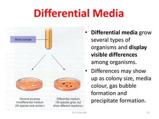 53
Differential Media
• Differential media grow
several types of
organisms and display
visible differences
among organisms.
• Differences may show
up as colony size, media
colour, gas bubble
formation and
precipitate formation.
Dr.T.V.Rao MD
 
