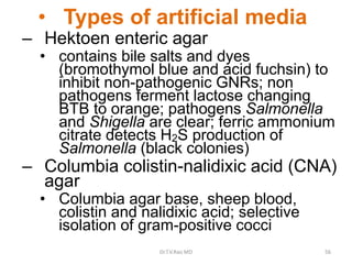 • Types of artificial media
– Hektoen enteric agar
• contains bile salts and dyes
(bromothymol blue and acid fuchsin) to
inhibit non-pathogenic GNRs; non
pathogens ferment lactose changing
BTB to orange; pathogens Salmonella
and Shigella are clear; ferric ammonium
citrate detects H2S production of
Salmonella (black colonies)
– Columbia colistin-nalidixic acid (CNA)
agar
• Columbia agar base, sheep blood,
colistin and nalidixic acid; selective
isolation of gram-positive cocci
Dr.T.V.Rao MD 56
 