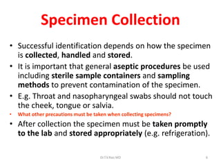 6
Specimen Collection
• Successful identification depends on how the specimen
is collected, handled and stored.
• It is important that general aseptic procedures be used
including sterile sample containers and sampling
methods to prevent contamination of the specimen.
• E.g. Throat and nasopharyngeal swabs should not touch
the cheek, tongue or salvia.
• What other precautions must be taken when collecting specimens?
• After collection the specimen must be taken promptly
to the lab and stored appropriately (e.g. refrigeration).
Dr.T.V.Rao MD
 