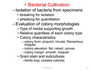 • Bacterial Cultivation
–Isolation of bacteria from specimens
• streaking for isolation
• streaking for quantitation
–Evaluation of colony morphologies
• Type of media supporting growth
• Relative quantities of each colony type
• Colony characteristics
– colony form: pinpoint, circular, filamentous,
irregular
– colony elevation: flat, raised, convex
– colony margin: smooth, irregular
• Gram stain and subcultures
– sterile loop, isolated colonies
Dr.T.V.Rao MD 60
 