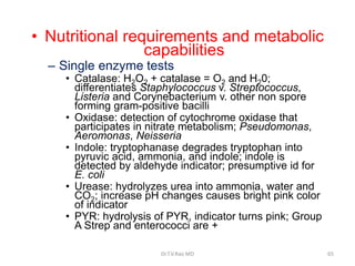 • Nutritional requirements and metabolic
capabilities
– Single enzyme tests
• Catalase: H2O2 + catalase = O2 and H20;
differentiates Staphylococcus v. Streptococcus,
Listeria and Corynebacterium v. other non spore
forming gram-positive bacilli
• Oxidase: detection of cytochrome oxidase that
participates in nitrate metabolism; Pseudomonas,
Aeromonas, Neisseria
• Indole: tryptophanase degrades tryptophan into
pyruvic acid, ammonia, and indole; indole is
detected by aldehyde indicator; presumptive id for
E. coli
• Urease: hydrolyzes urea into ammonia, water and
CO2; increase pH changes causes bright pink color
of indicator
• PYR: hydrolysis of PYR, indicator turns pink; Group
A Strep and enterococci are +
Dr.T.V.Rao MD 65
 