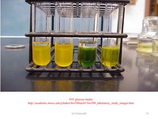 O-F glucose media
http://academic.mwsc.edu/jcbaker/bio390sec01/bio390_laboratory_study_images.htm
Dr.T.V.Rao MD 75
 
