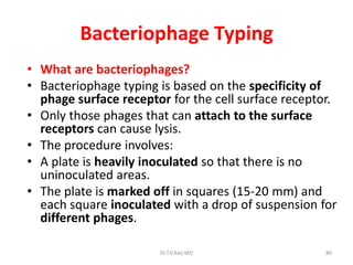 80
Bacteriophage Typing
• What are bacteriophages?
• Bacteriophage typing is based on the specificity of
phage surface receptor for the cell surface receptor.
• Only those phages that can attach to the surface
receptors can cause lysis.
• The procedure involves:
• A plate is heavily inoculated so that there is no
uninoculated areas.
• The plate is marked off in squares (15-20 mm) and
each square inoculated with a drop of suspension for
different phages.
Dr.T.V.Rao MD
 