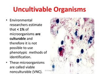 Uncultivable Organisms
• Environmental
researchers estimate
that < 1% of
microorganisms are
culturable and
therefore it is not
possible to use
phenotypic methods of
identification.
• These microorganisms
are called viable
nonculturable (VNC). 83Dr.T.V.Rao MD
 