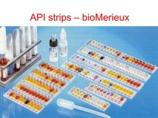 API strips – bioMerieux
Dr.T.V.Rao MD 89
 