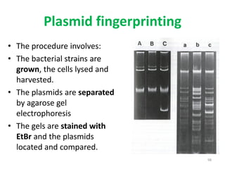 98
Plasmid fingerprinting
• The procedure involves:
• The bacterial strains are
grown, the cells lysed and
harvested.
• The plasmids are separated
by agarose gel
electrophoresis
• The gels are stained with
EtBr and the plasmids
located and compared.
 